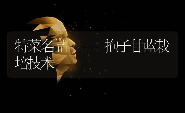 特菜名品---抱子甘蓝栽培技术 | 蔬菜种植