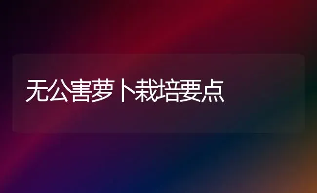 无公害萝卜栽培要点 | 蔬菜种植