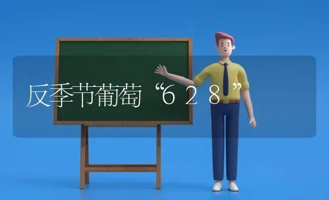 反季节葡萄“628” | 瓜果种植