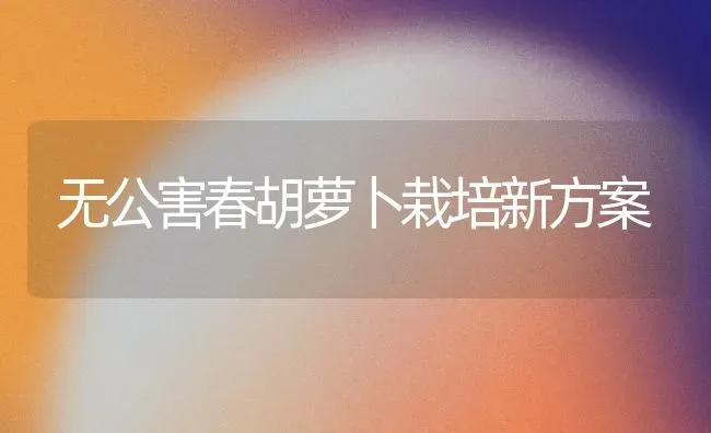 无公害春胡萝卜栽培新方案 | 蔬菜种植