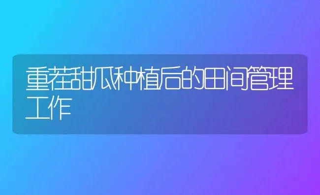 重茬甜瓜种植后的田间管理工作 | 植物种植百科