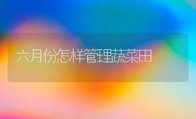 六月份怎样管理蔬菜田 | 蔬菜种植