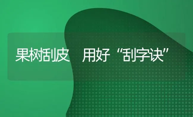 果树刮皮 用好“刮字诀” | 瓜果种植