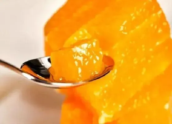 食用科普|果冻橙是热性还是凉性