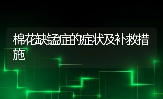 棉花缺锰症的症状及补救措施 | 粮油作物种植