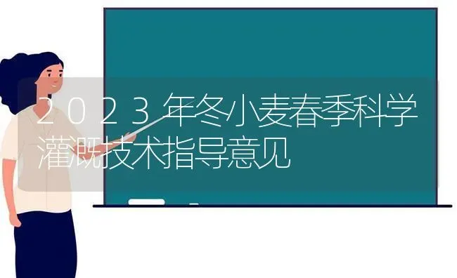 2023年冬小麦春季科学灌溉技术指导意见 | 粮油作物种植