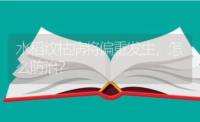 水稻纹枯病将偏重发生，怎么防治？ | 粮油作物种植