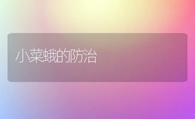 小菜蛾的防治 | 蔬菜种植