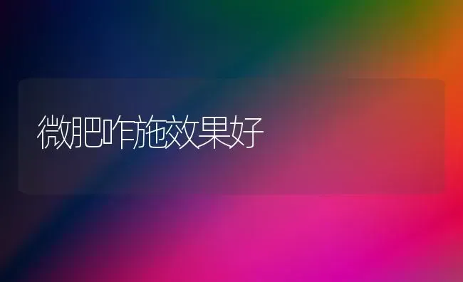 微肥咋施效果好 | 瓜果种植