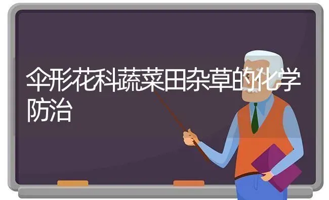 伞形花科蔬菜田杂草的化学防治 | 蔬菜种植