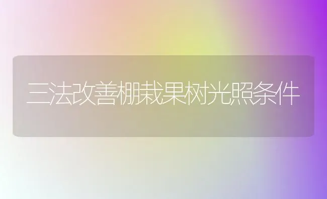 三法改善棚栽果树光照条件 | 瓜果种植