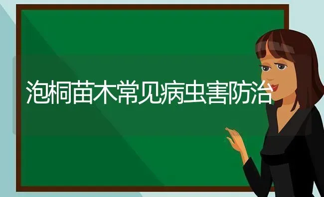 泡桐苗木常见病虫害防治 | 种植病虫害防治