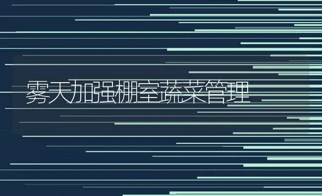 雾天加强棚室蔬菜管理 | 蔬菜种植
