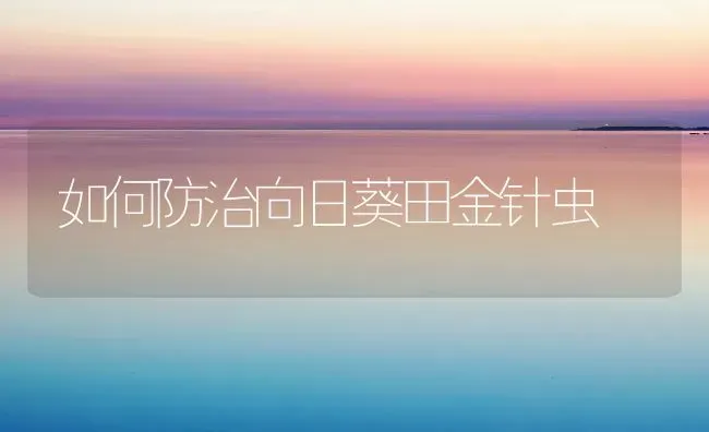 如何防治向日葵田金针虫 | 粮油作物种植