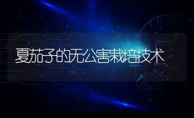 夏茄子的无公害栽培技术 | 蔬菜种植