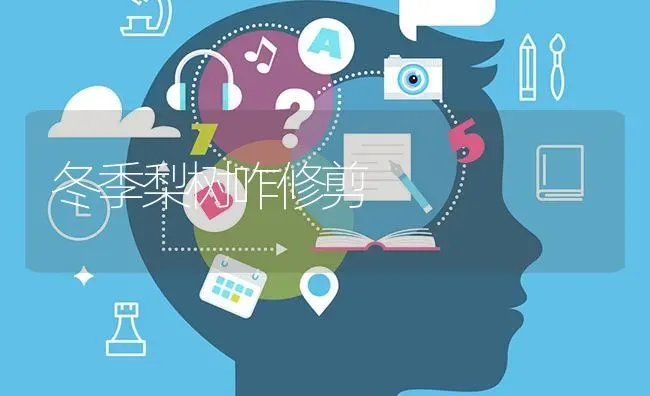 冬季梨树咋修剪 | 瓜果种植