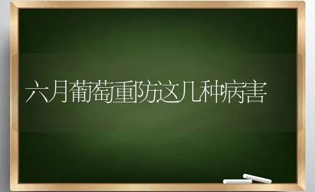 六月葡萄重防这几种病害 | 瓜果种植