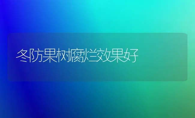 冬防果树腐烂效果好 | 瓜果种植