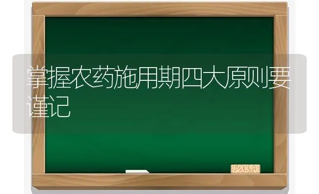 掌握农药施用期四大原则要谨记 | 种植病虫害防治