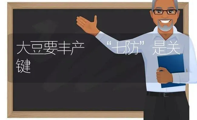 大豆要丰产 “七防”是关键 | 粮油作物种植