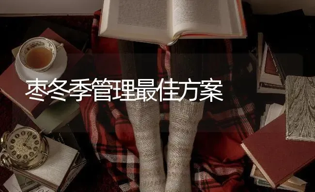 枣冬季管理最佳方案 | 瓜果种植