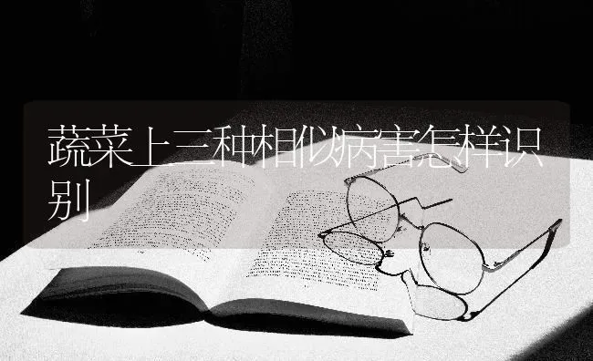 蔬菜上三种相似病害怎样识别 | 蔬菜种植