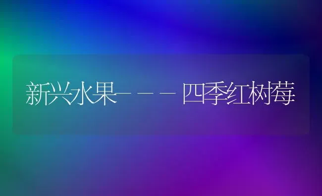 新兴水果---四季红树莓 | 瓜果种植