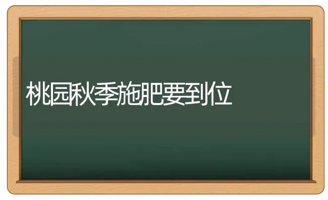 桃园秋季施肥要到位 | 种植肥料施肥