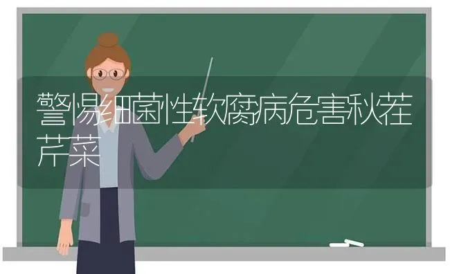 警惕细菌性软腐病危害秋茬芹菜 | 蔬菜种植