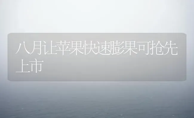 八月让苹果快速膨果可抢先上市 | 瓜果种植