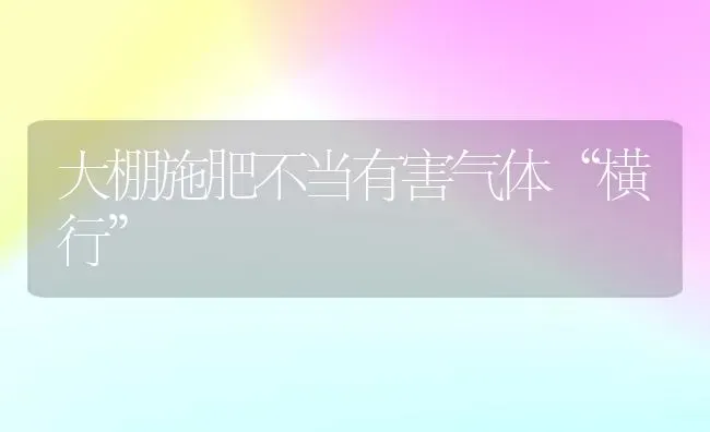 大棚施肥不当有害气体“横行” | 种植肥料施肥