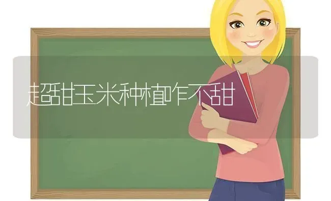 超甜玉米种植咋不甜 | 植物种植百科