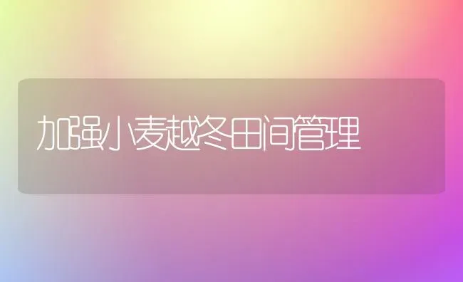 加强小麦越冬田间管理 | 粮油作物种植