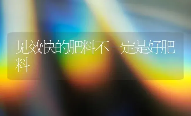 见效快的肥料不一定是好肥料 | 种植肥料施肥