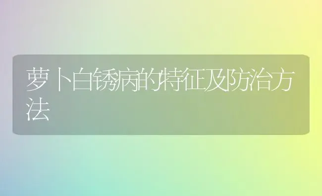 萝卜白锈病的特征及防治方法 | 蔬菜种植