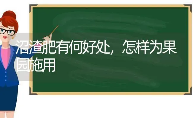 沼渣肥有何好处，怎样为果园施用 | 瓜果种植