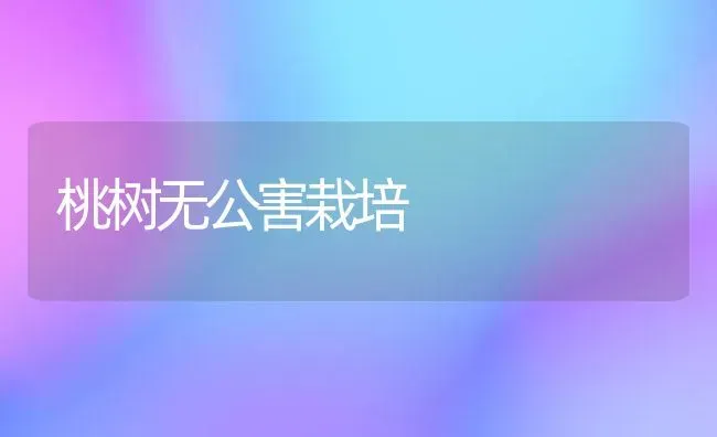 桃树无公害栽培 | 瓜果种植