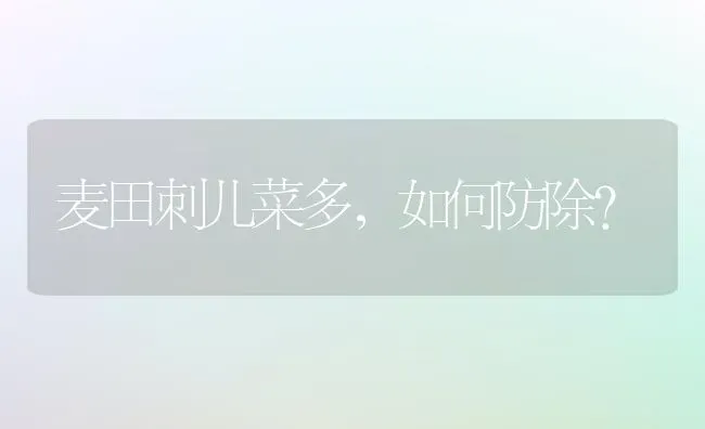 麦田刺儿菜多，如何防除？ | 蔬菜种植
