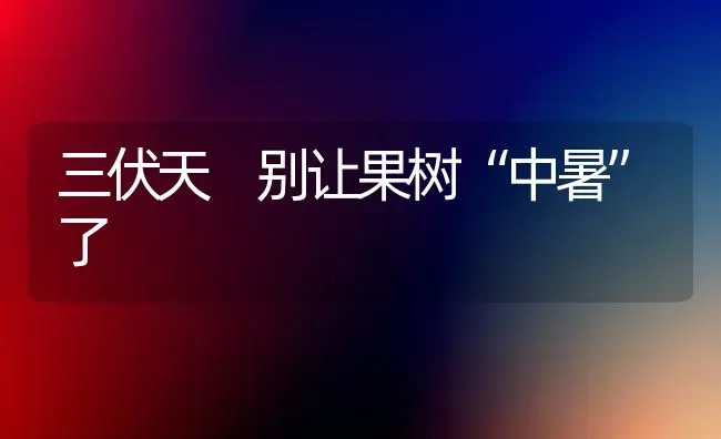 三伏天 别让果树“中暑”了 | 瓜果种植