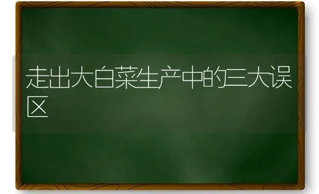 走出大白菜生产中的三大误区 | 蔬菜种植