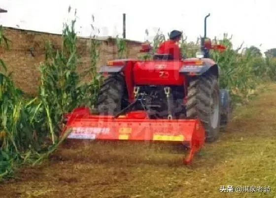 种植管理|秸秆还田的方法和技术要点，玉米秸秆直接还田意义及方式）