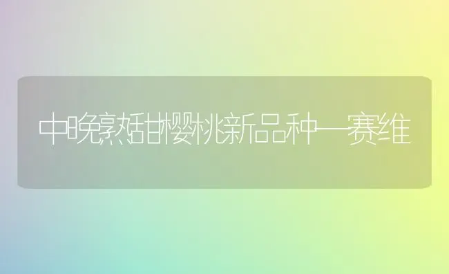 中晚熟甜樱桃新品种—赛维 | 瓜果种植