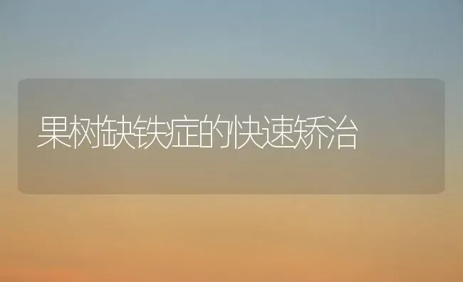 果树缺铁症的快速矫治 | 瓜果种植