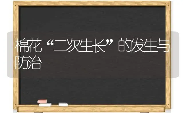 棉花“二次生长”的发生与防治 | 粮油作物种植