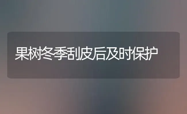 果树冬季刮皮后及时保护 | 瓜果种植