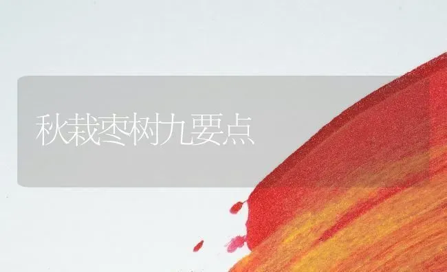 秋栽枣树九要点 | 瓜果种植