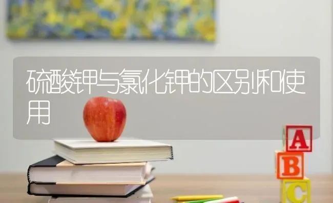 高温暴雨和冰雹果树蔬菜咋应对？ | 蔬菜种植