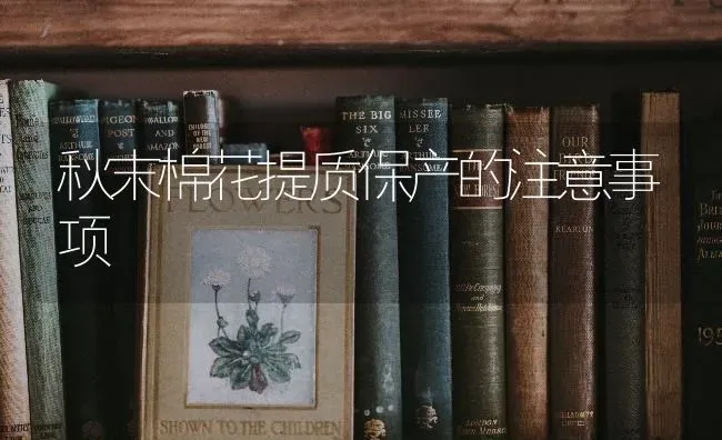 秋末棉花提质保产的注意事项 | 粮油作物种植
