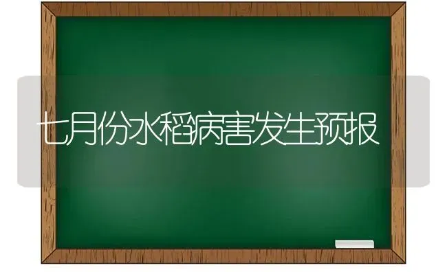 七月份水稻病害发生预报 | 粮油作物种植