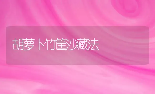 胡萝卜竹筐沙藏法 | 蔬菜种植
